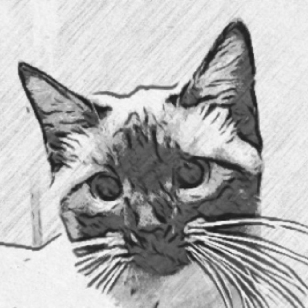 Meet your Posher, Colton